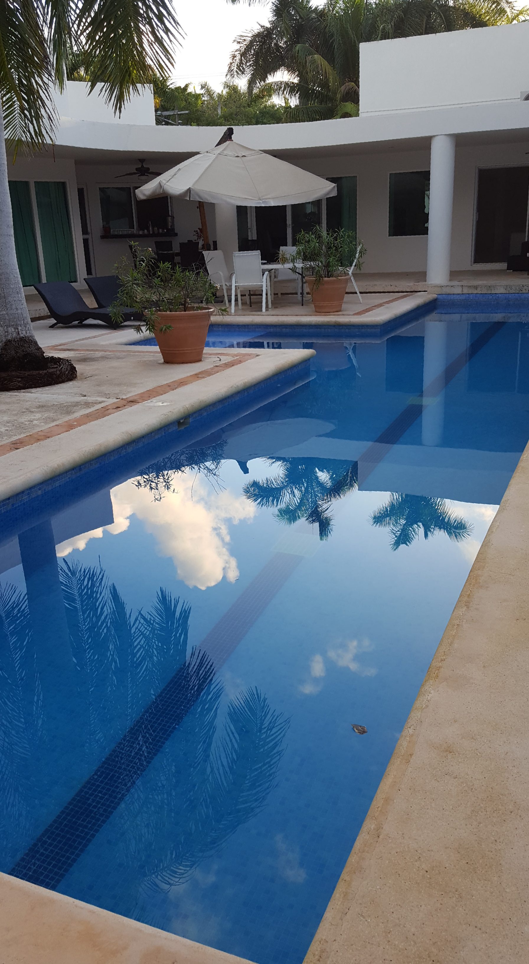 Swimming Pool Construction & Maintenance